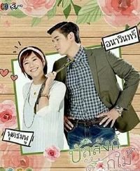 �ʻ���������