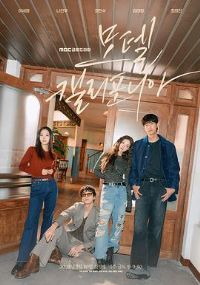 �����������ù�