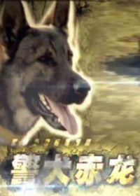 ��Ȯ����2012