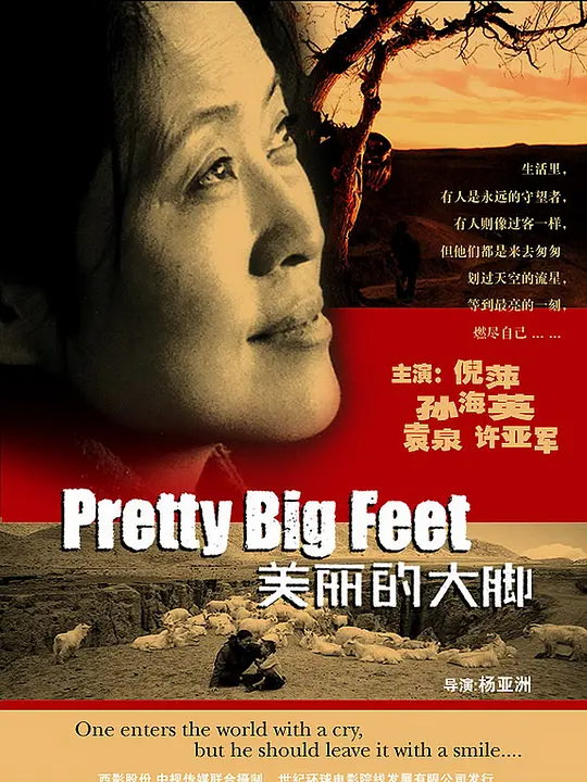 �����Ĵ�š�Ӱ�ӽ�˵��