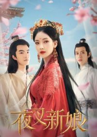 ҹ������